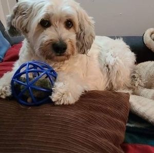 Meet your Posher, Diane